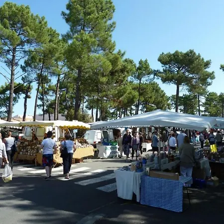 La Palmyre - Tremieres - Mitoyenne - Proximite Et Centre *