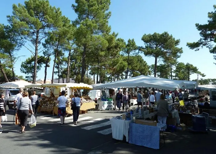 La Palmyre - Tremieres - Mitoyenne - Proximite Et Centre *