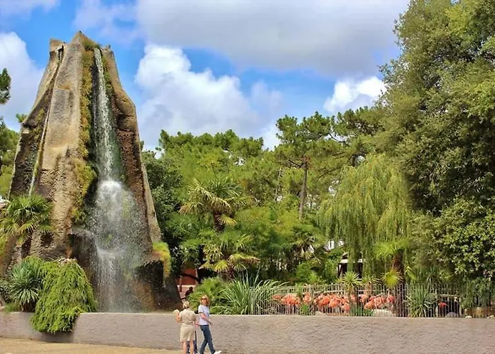 公寓 La Palmyre - Tremieres - Mitoyenne - Proximite Et Centre 莱马特